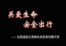 全國道路交通事故典型案例警示錄