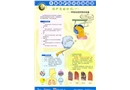 個體防護知識宣教掛圖