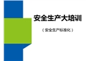 安全生產(chǎn)大培訓(xùn)（安全標(biāo)準(zhǔn)化）