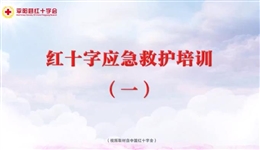 應急救護培訓 第一課 心肺復蘇