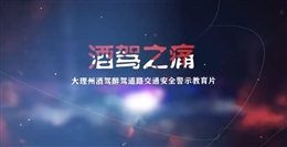 酒駕之痛—酒駕醉駕交通安全警示教育片