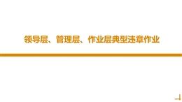 領(lǐng)導層、管理層、作業(yè)層典型違章作業(yè)