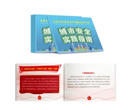 習(xí)總書記安全生產(chǎn)重要論述下的城市安全實(shí)踐指南隨身學(xué)